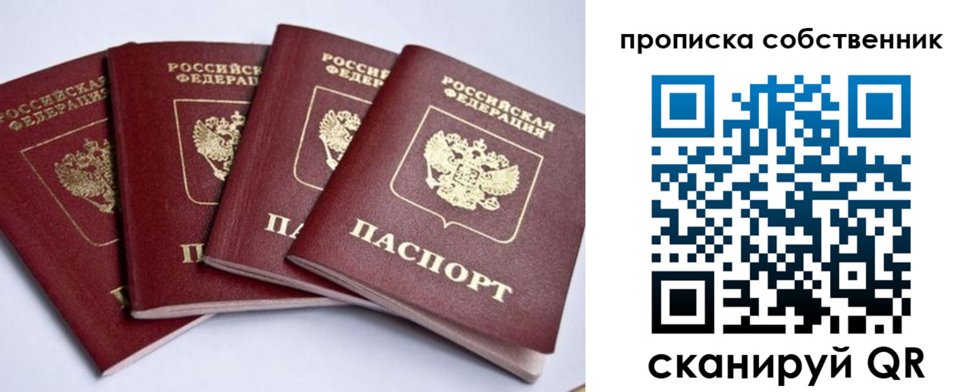прописка для школы в Новомосковске
