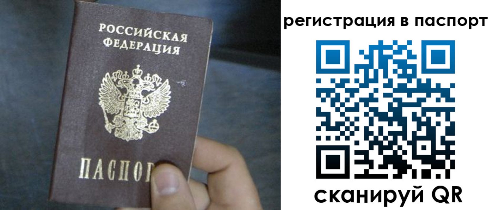 прописка 2025 в Новомосковске